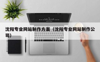 怀化沈阳专业网站制作方案（沈阳专业网站制作公司）